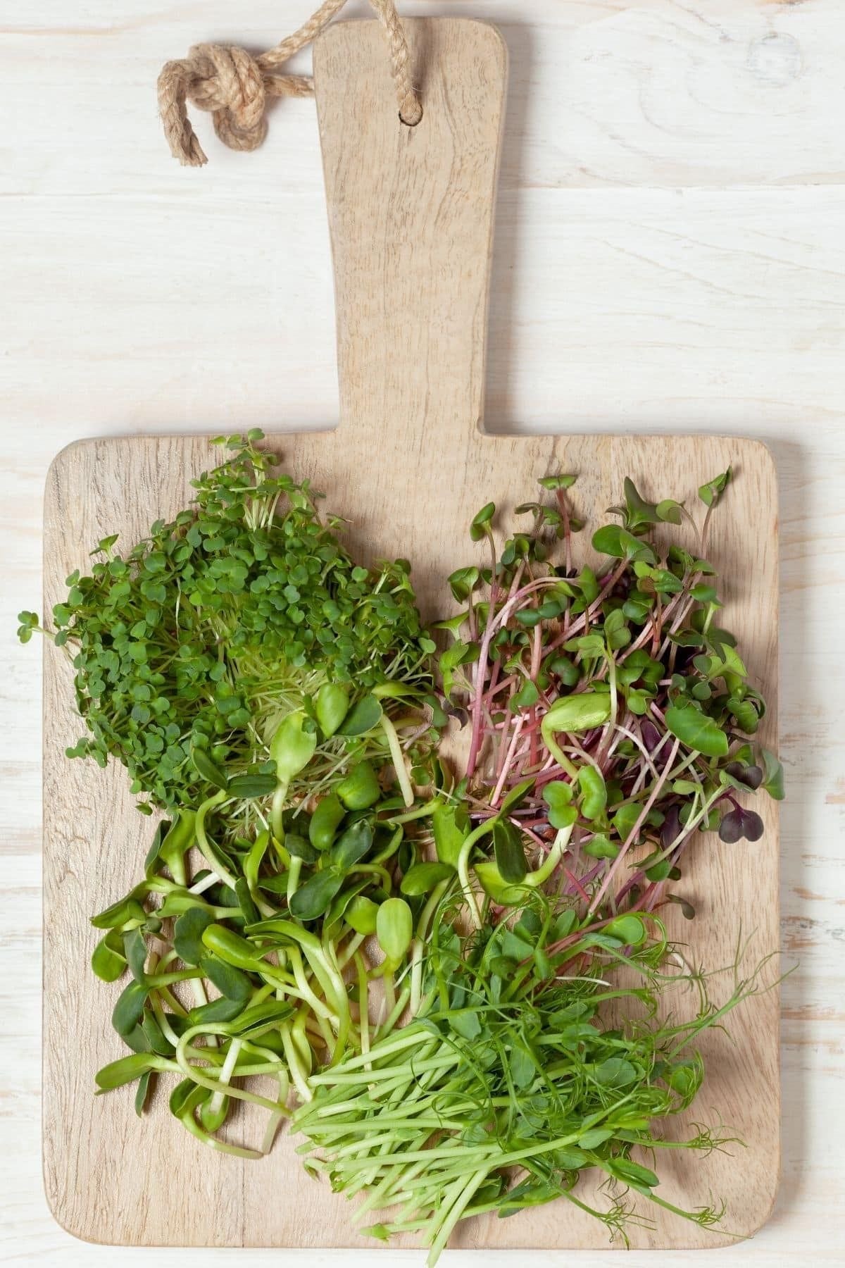 Super 4 Microgreens