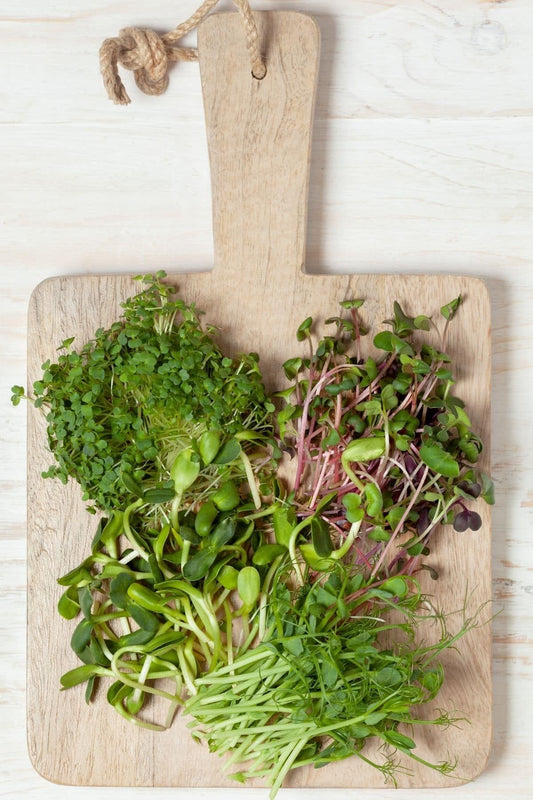 Super 4 Microgreens